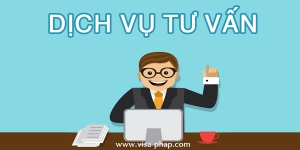 Dịch vụ tư vấn